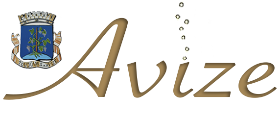 Logo CTRE COM ACTION SOCIALE D'AVIZE