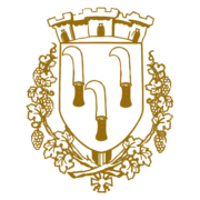 Logo CTRE COM ACTION SOCIALE D HERBLAY