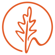 Logo CTRE COM ACTION SOCIALE DE LAPUGNOY