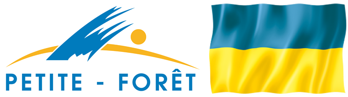 Logo CTRE COM ACTION SOCIALE DE PETITE FORET