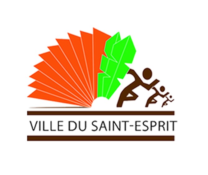 Logo CTRE COM ACTION SOCIALE DE SAINT ESPRIT