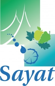 Logo CTRE COM ACTION SOCIALE DE SAYAT