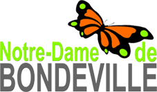 Logo CTRE COM ACTION SOCIALE ND DE BONDEVILLE