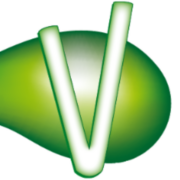 Logo CTRE SOCIO CULTUREL CANTON DE VOUILLE