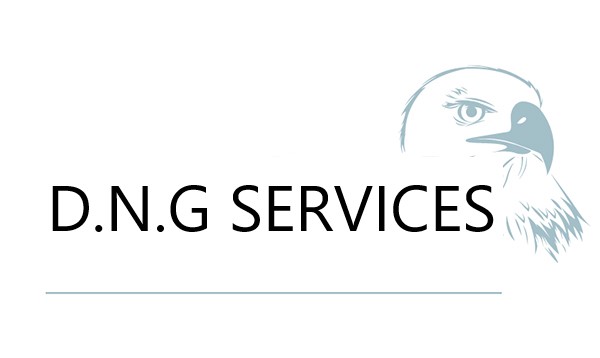 Logo D.N.G SERVICES