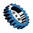 Logo D S W