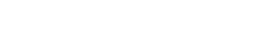 Logo D.V.M.RENOV