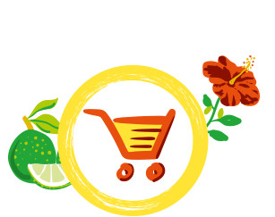 Logo DAME BESSON SARL