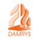 Logo DAMRYS