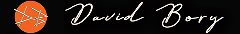Logo DAVID BORY