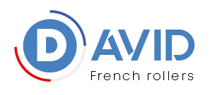 Logo DAVID ROL