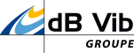 Logo DBVIB CONSULTING