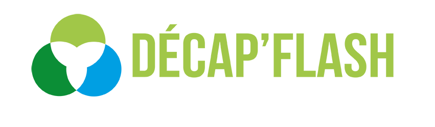 Logo DECAP'FLASH (NES)