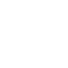 Logo DEEMEA