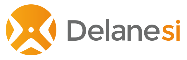 Logo DELANE SI