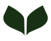 Logo DELICORNER