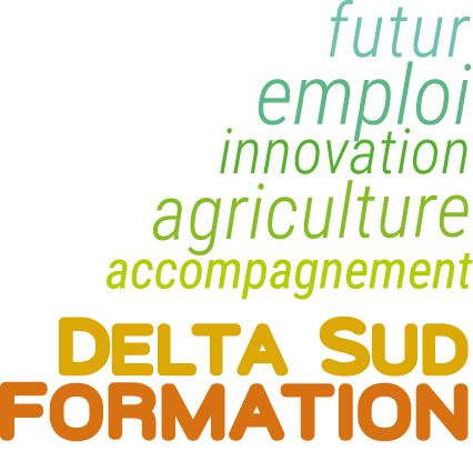 Logo DELTA SUD FORMATION (DSF)