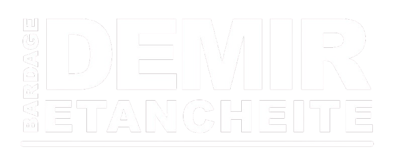 Logo DEMIR