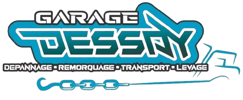 Logo DESSAY