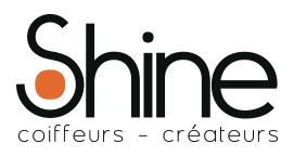 Logo DFL 05 (SHINE COIFFEUR CREATEUR)
