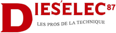 Logo DIES ELEC 87