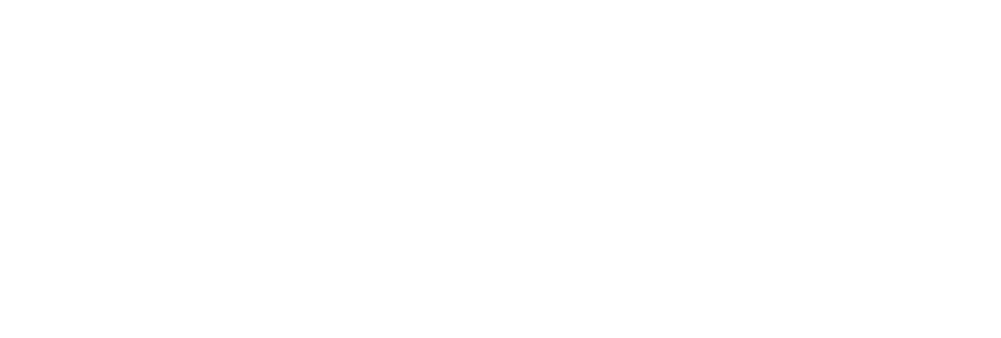 Logo DIGILOR