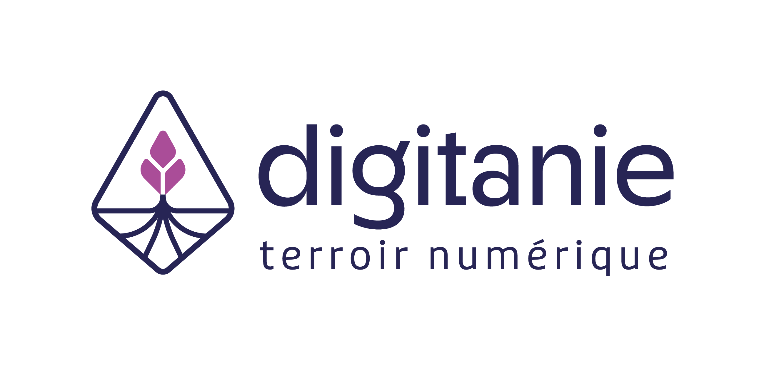 Logo DIGITANIE (DIGITANIE)