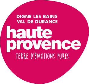Logo DIGNE