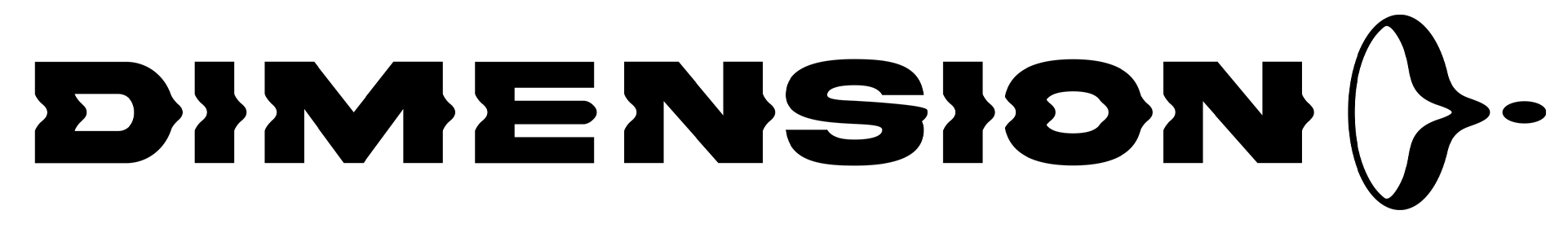 Logo DIMENSION STORES LYON