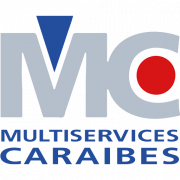 Logo DIRECT SERVICES CARAIBE MULTISERVICES ET PROPRETE (DSC)