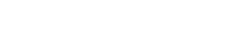 Logo DISTRI PNEUS INTERNATIONAL