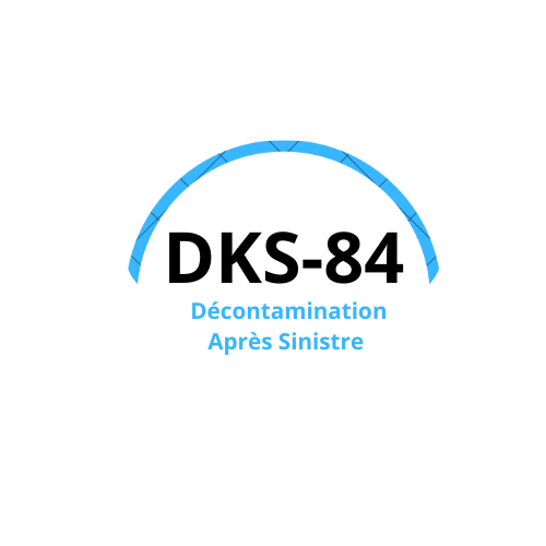 Logo DKS-84