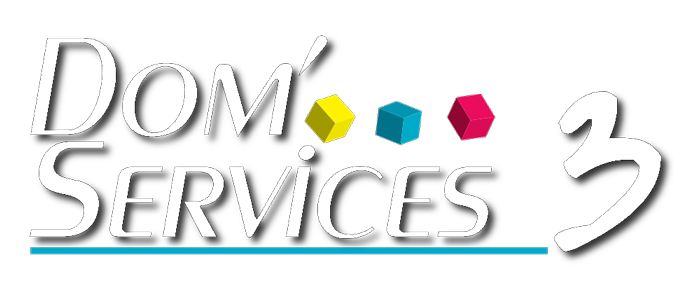 Logo DOM'SERVICES 3 (DOM'SERVICES 3)