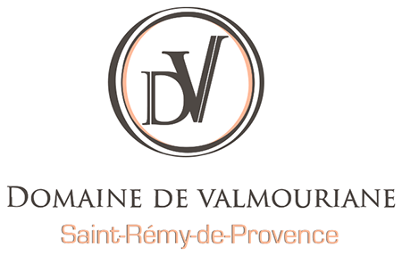 Logo DOMAINE DE VALMOURIANE