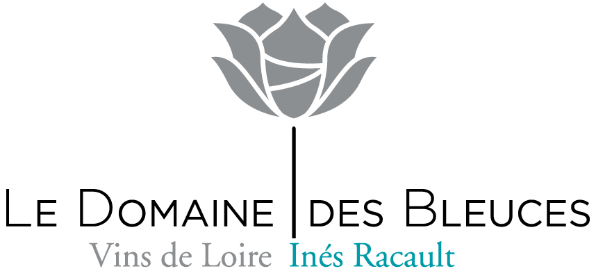 Logo DOMAINE DES BLEUCES