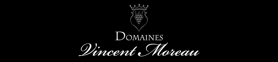 Logo DOMAINES VINCENT MOREAU