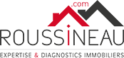Logo DOMINIQUE ROUSSINEAU
