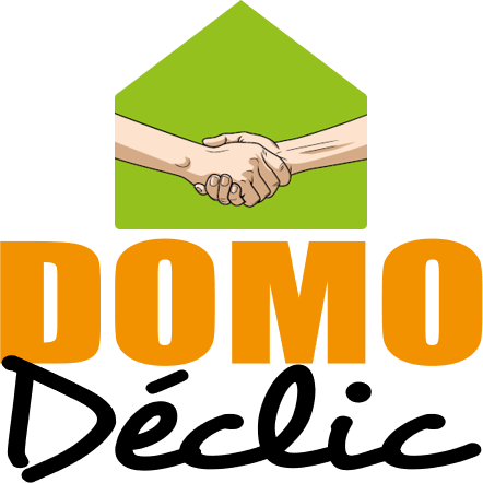 Logo DOMODECLIC CENTRE ESSONNE (DOMODECLIC)