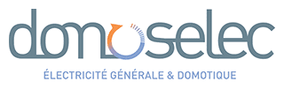 Logo DOMOSELEC (DOMOSELEC)