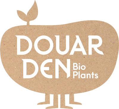 Logo DOUAR DEN