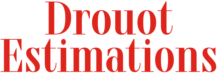 Logo DROUOT ESTIMATIONS