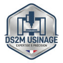 Logo DS2M