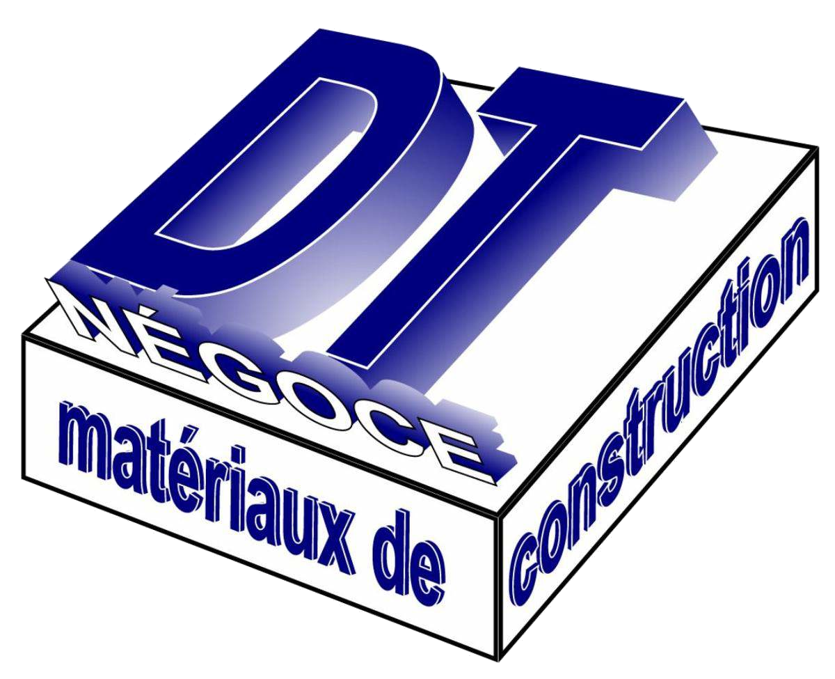 Logo DT NEGOCE