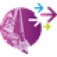 Logo DUACOM
