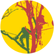 Logo DUO DES CIMES