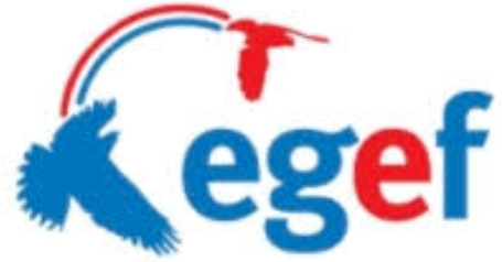 Logo E G E F