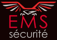 Logo E M SECURITE