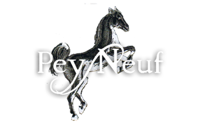Logo EARL DU PEY NEUF