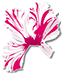 Logo EARL EYRAUD PRODUCTIONS