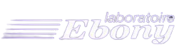 Logo EBONY